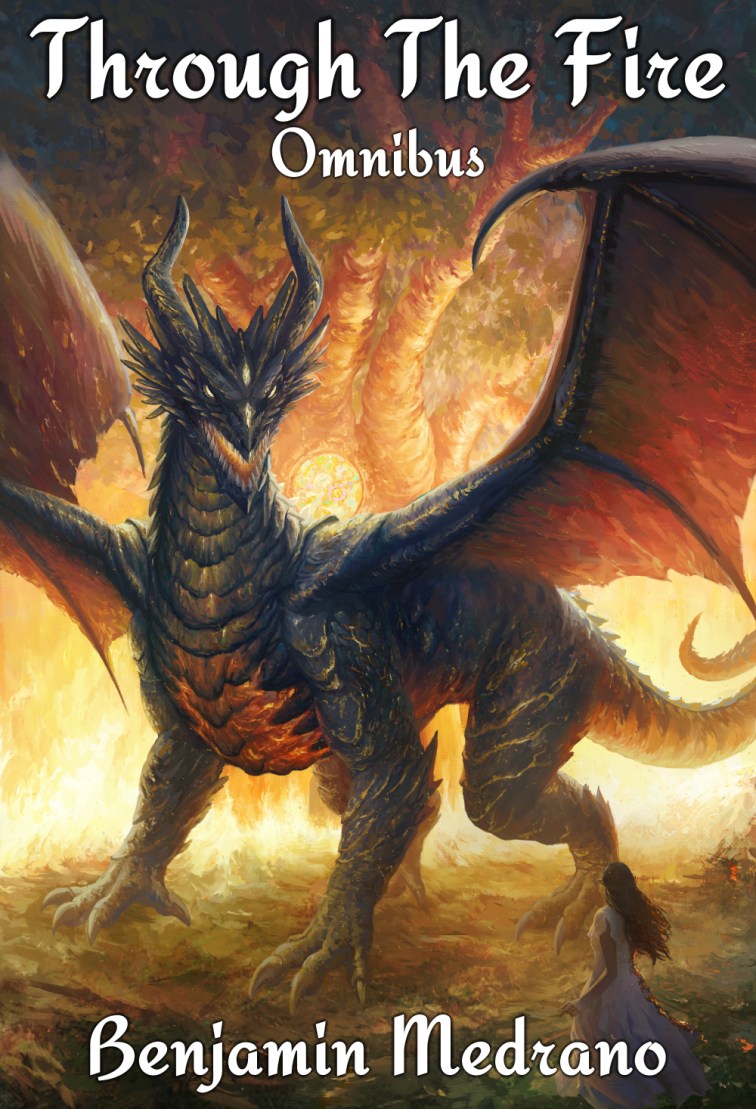 Through the Fire Cover LR